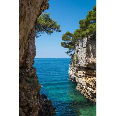 Appartement Sunny Aura - Travel & Work - With Parking